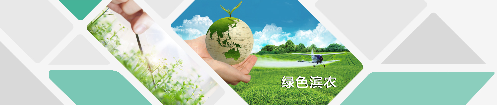 �����x�C